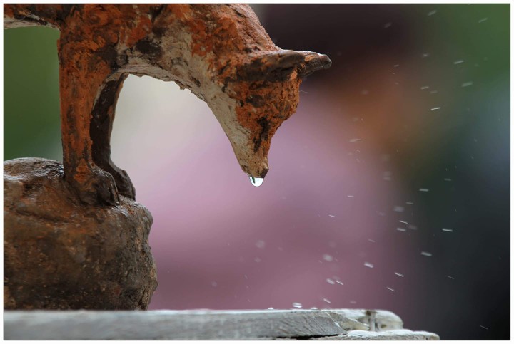    sculptures animalières 2016/2021